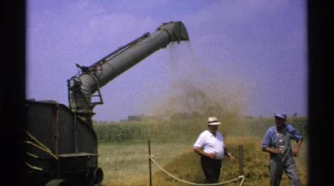 1971:MINNESOTA.Machine Processing Hays In The Field 库存照片