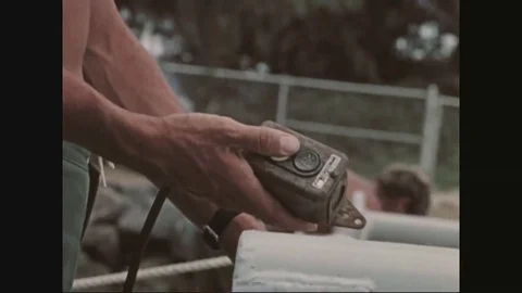 1972 - A pilot whale in an ocean pen responds to an acoustic signal and swims Stock Footage 79448635