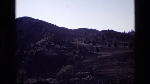 1972: Short Trees Dot the Landscape on a Hilly Terrain Idaho Video stock 70639543
