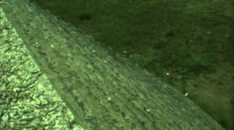 1973: stairs in ruin and grass and moss covered concrete bricks MEXICO Stock Footage