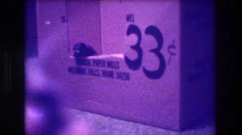 1973: Tiny Kitten Tentatively Crawls Out of Cardboard Box Marked 33 Cents 스톡 동영상 68627719