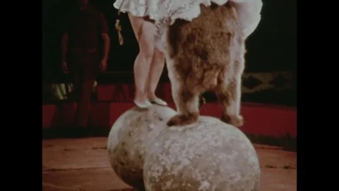 1974-Circus / USA / 1974 Stock Footage