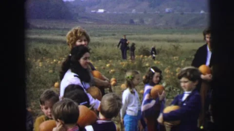 1974: large group of people at pumpkin patch getting pumpkins. LYNBROOK Stock Footage