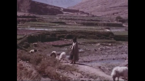 1978 - The nomadic existence of the Berbers in Morocco is detailed. Stock Footage 113103709