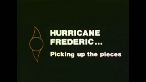 1979 - The deadly aftermath of Hurricane Frederic left heavily damaged woods, Stock Footage 226612506