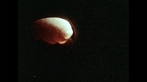1980s: Animation of brain. Drawing of brain chemical enkephalin. Drawing of man. Stock Footage 94465606