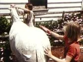 (1980S) Children Grooming A Horse Stock Footage