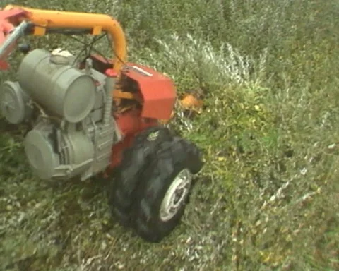 1980s  hand push mowing - high angle Stock Footage 167839416