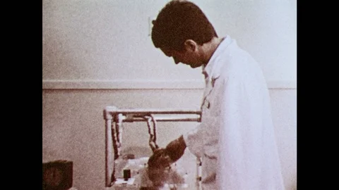 1980s: Man adjusts monkey strapped into monitoring equipment. Monkey looks Stock Footage 94465595