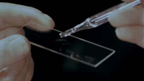 1980s Preparing Petri Test Slide Dish Bacteria DNA Sample Vintage Old Film Movie Stock Footage 88259281