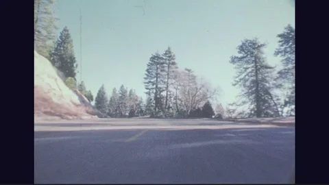 1980s: UNITED STATES: view of road and trees through car windscreen. Overhead Stock Footage