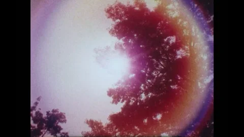 1980s: View of sun through trees. Men with engine in lab. Man with headphones. 库存影片 83129944