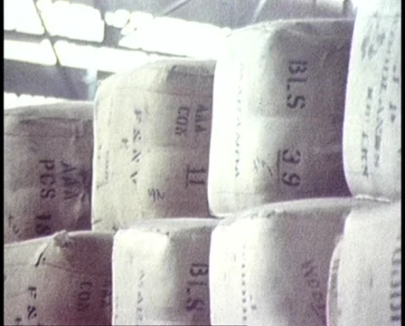 1981: AUSTRALIAN WOOL BALES PACKED FOR EXPORT Stock Footage 49226736