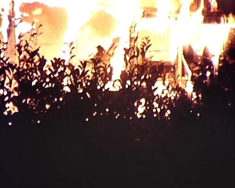 1981: Firefighters / House Burning Down  Stock Footage 98766676