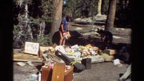 1981: Two People Check Objects in Forest Clearing British Columbia Stock Footage 70210912