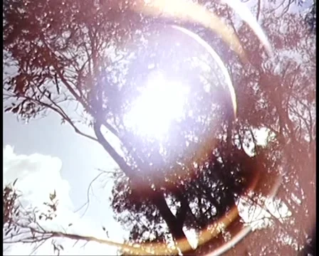 1982: Sunlight Lense Flare / Drought / Heat (Archive Footage) Stock Footage 45417595