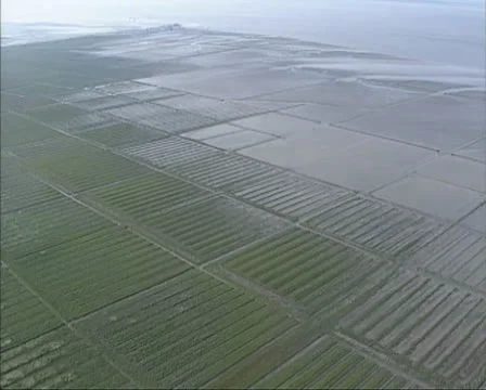 1990s aerial view square patterns of land reclamation in tidal marsh Stock Footage 25526927
