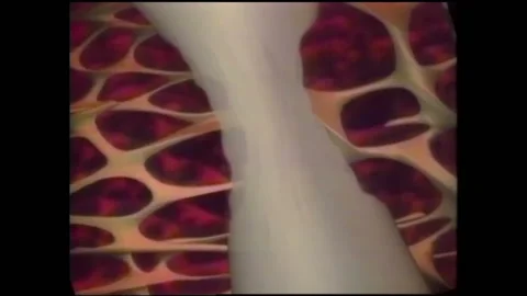 1990s: Animation of bone weakening. Men lifting astronaut in suit. Chart showing Stock Footage 136854299