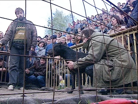 1994-Dog Fighting / Fight Dog / Russia Stock Footage