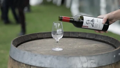 1B6A6840 Stock Footage 92115324