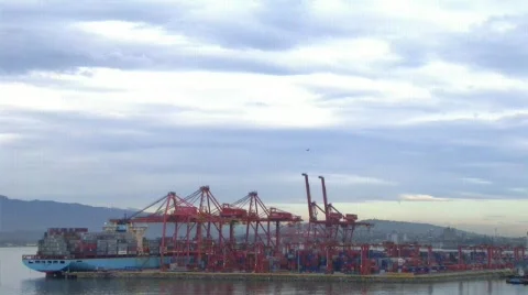 1dock Stock Footage 124545