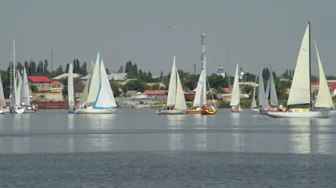 1Great sailing regatta Stock Footage 25078587