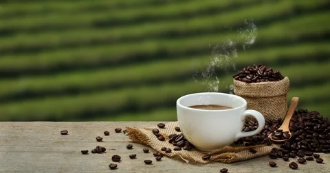 1Hot Coffee cup with Coffee beans on the wooden table and the plantations Stock Footage 105221129