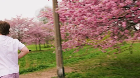 1L5A0664 1 Stock Footage 334337251