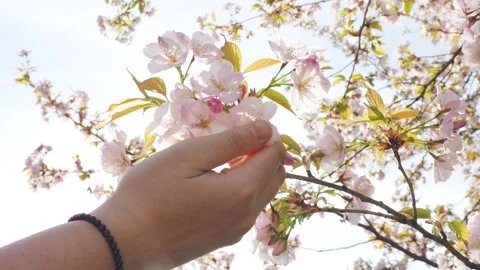 1L5A0759 1 Vidéo 334337028