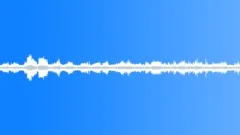 1MinBirdsBees Sound Effect