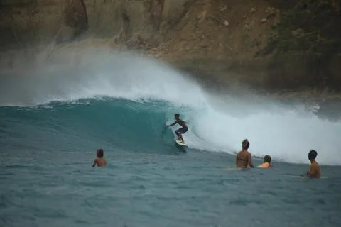 1R2A4255 写真素材