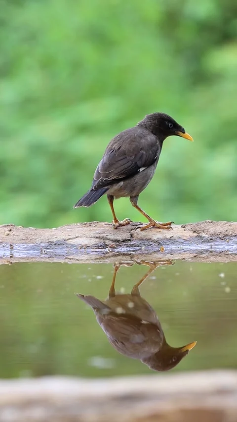 1R4A7209 20 库存影片 311731190