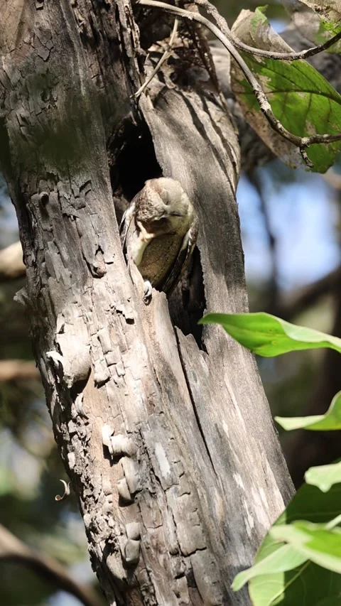 1R4A7209 22 Stock Footage 311731312