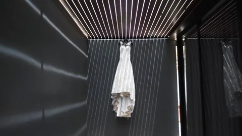 1sed (15) Stock Footage 156333028