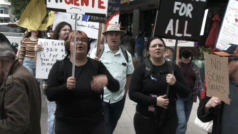 1st Amendment Freedom Of Speech Protest Against Trump Stock Footage 311742099