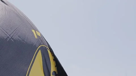 1st Calvary Division Flag Stock Footage 6562711
