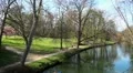 1st sunny Days in Spring 161927 HD Footage