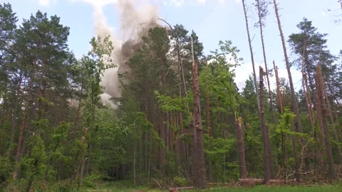 1the moment of the explosion of a shell in the forest.ammunition detonation. 動画素材 205006016