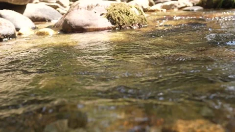 1water flowing in a riverbed close-up Vídeos de archivo 136511143