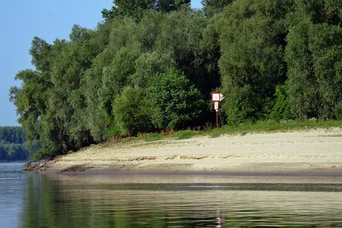 1Willow forest on the Borcea arm Stock Photos