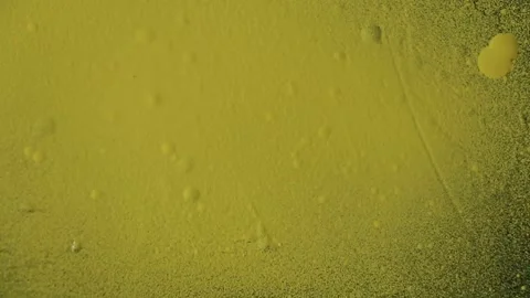 1X9A4866 Stock Footage 332981475