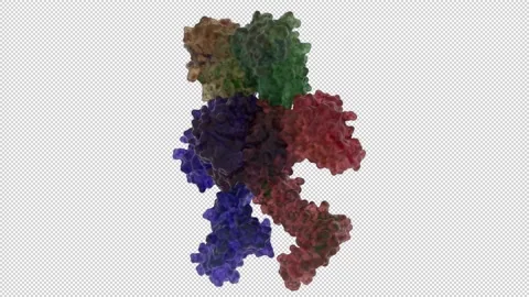 1yyf shell Correction of X-ray Intensities from an HslV-HslU co-crystal 스톡 동영상 157758179