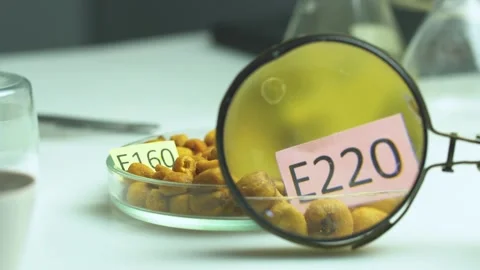 1Z C0137 Stock Footage 162180904