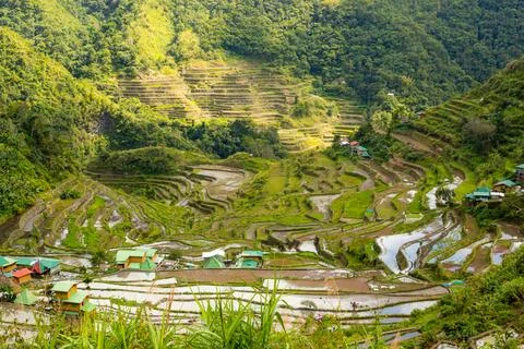 2 000 years old rice terraces in the Batad, Philippines Stock Photos