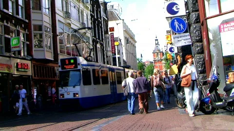 2 amster 2 Video stock 130713