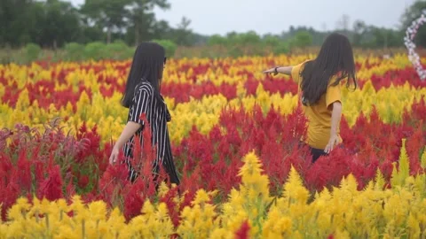 2 beautiful angels dancing Stock Footage 199111863