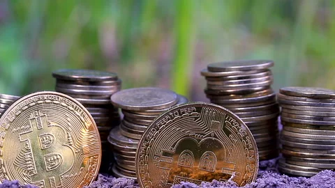 2 Bit Coins  and group  coins lie on ground. Slider shot Видео 104395210