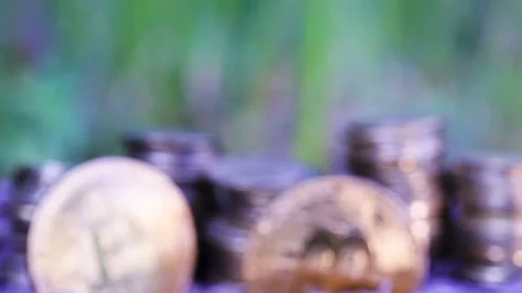 2 Bit Coins  and group  coins lie on ground. Focus change Stock Footage 104395216