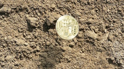 2 Bit Coins fall  down to ground. Slow motion Video stock 90779031