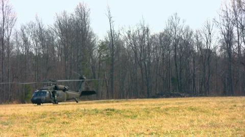 2 Blackhawks 1 lands Stock Footage 1128845